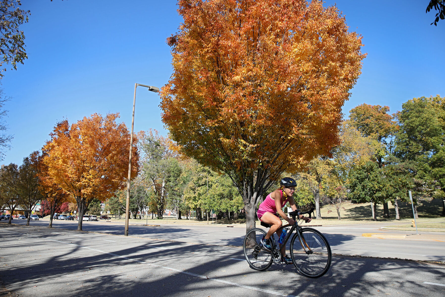Fall foliage